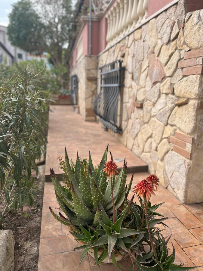 B&B Villa Regina Santa Domenica  Dış mekan fotoğraf