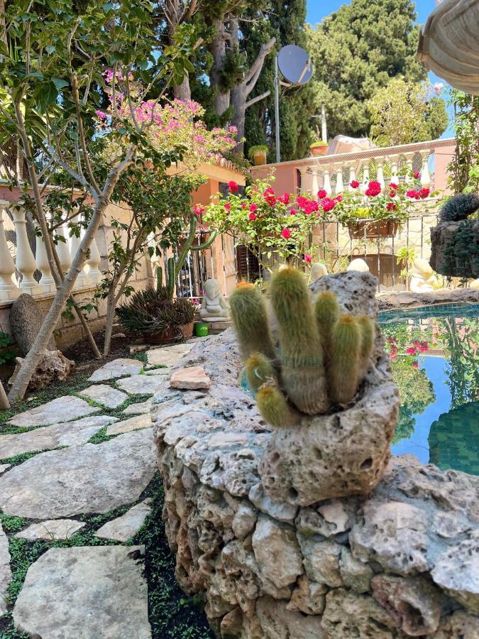 B&B Villa Regina Santa Domenica  Dış mekan fotoğraf