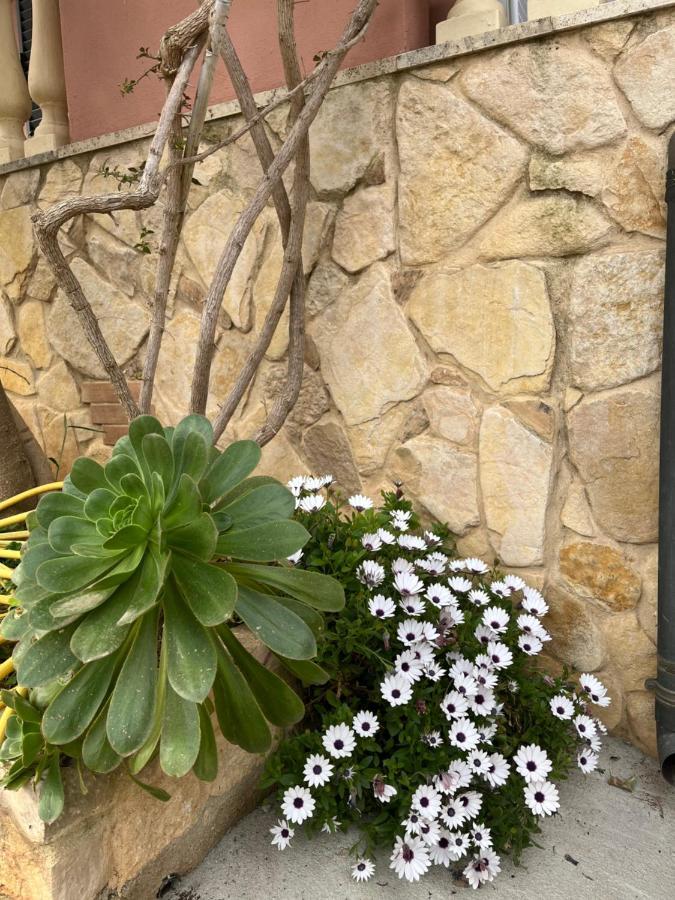 B&B Villa Regina Santa Domenica  Dış mekan fotoğraf